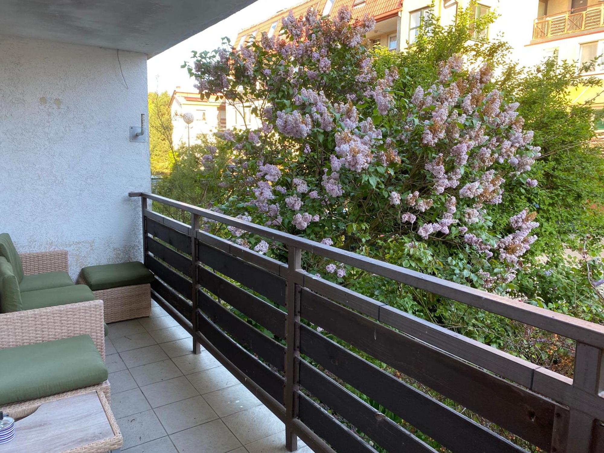 Leśne Apartamenty - Apartament Szary Hel Zewnętrze zdjęcie